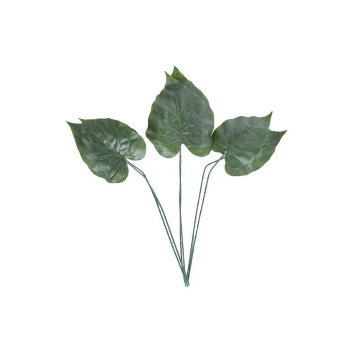 SET 6 FOGLIE ALOCASIA 3ASS